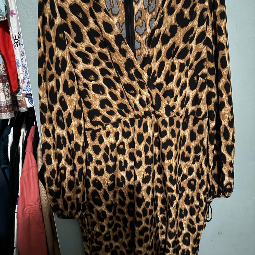 Leopard Print Mini Dress